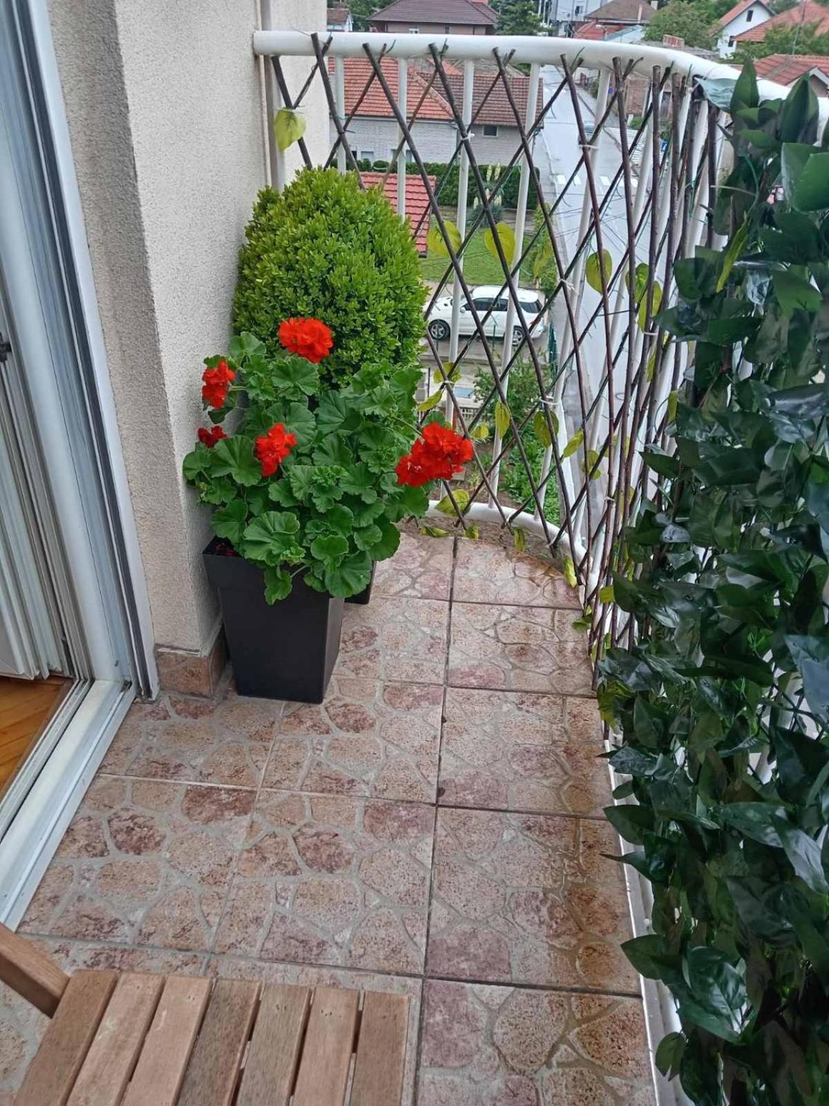 Apartman Centar Požarevac Exteriör bild