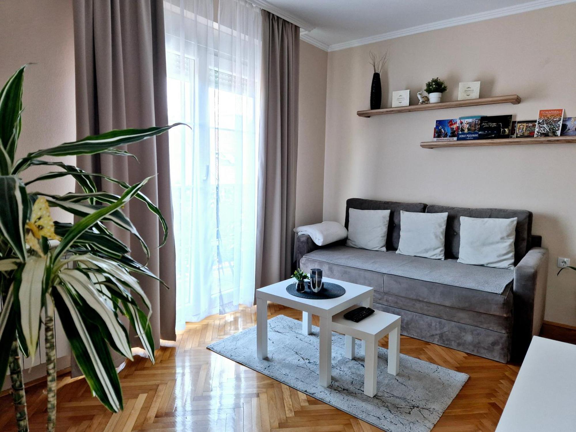 Apartman Centar Požarevac Exteriör bild